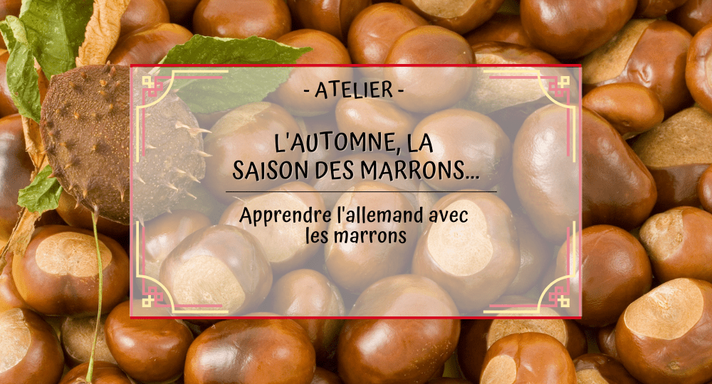 Vignette de l'article blog "L'automne, la saison des marrons..."