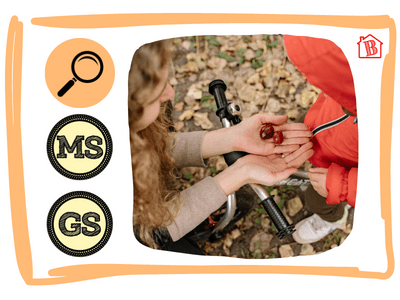 Vignette de l'atelier automne "L'automne, c'est la saison des marrons...".