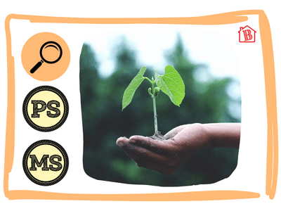 Vignette de l'atelier allemand sur la germination. de la graine