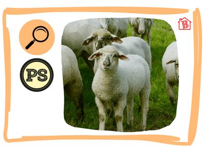 Vignette de l'atelier d'allemand sur les animaux de la ferme.