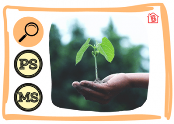 Atelier-allemand-le-semis