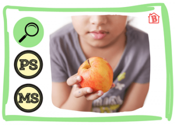 Atelier-allemand-les-pommes